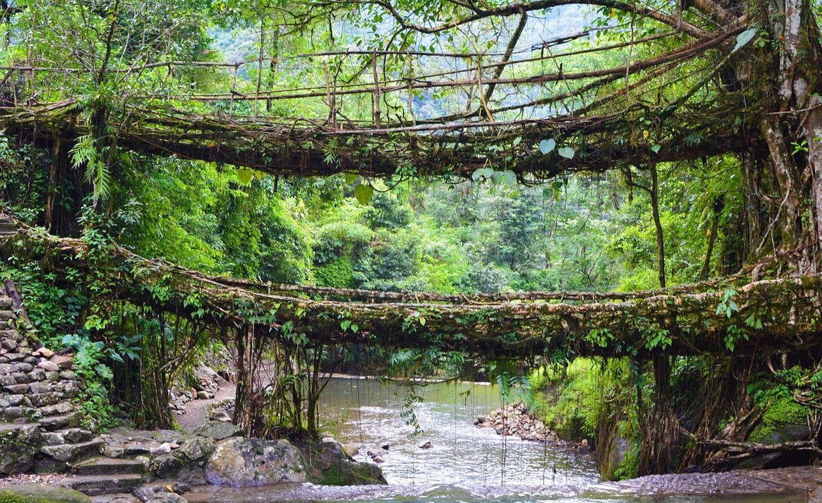 places of visit in north east india, best places to visit in north east, north east india travel d